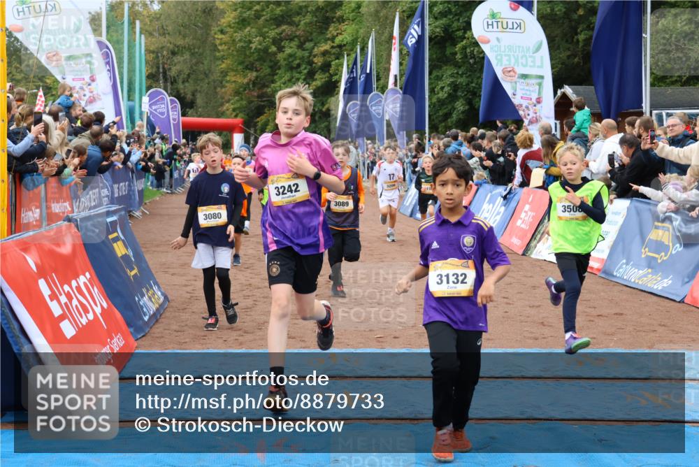 14.09.2025 - Airport Race Strokosch-Dieckow http://msf.ph/oto/8879733 14.09.2025 10:08:21 Ziel 3011, 3080, 3089, 3091, 3094, 3110, 3121, 3132, 3155, 3193, 3204, 3205, 3206, 3242, 3246, 3282, 3289, 3307, 3366, 3371, 3373, 3508, 3516, 3522 meine-sportfotos.de