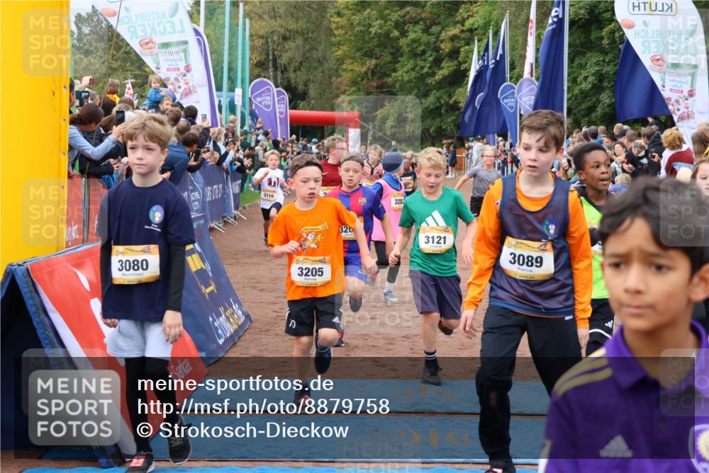 14.09.2025 - Airport Race Strokosch-Dieckow http://msf.ph/oto/8879758 14.09.2025 10:08:24 Ziel 3011, 3049, 3080, 3089, 3091, 3094, 3110, 3121, 3132, 3155, 3193, 3204, 3205, 3206, 3242, 3246, 3282, 3289, 3508, 3516, 3528 meine-sportfotos.de