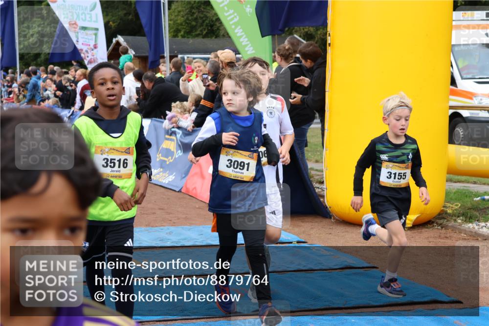 14.09.2025 - Airport Race Strokosch-Dieckow http://msf.ph/oto/8879764 14.09.2025 10:08:26 Ziel 3011, 3049, 3080, 3089, 3091, 3110, 3121, 3155, 3193, 3204, 3205, 3206, 3242, 3246, 3282, 3289, 3365, 3415, 3508, 3516, 3528, 3728 meine-sportfotos.de