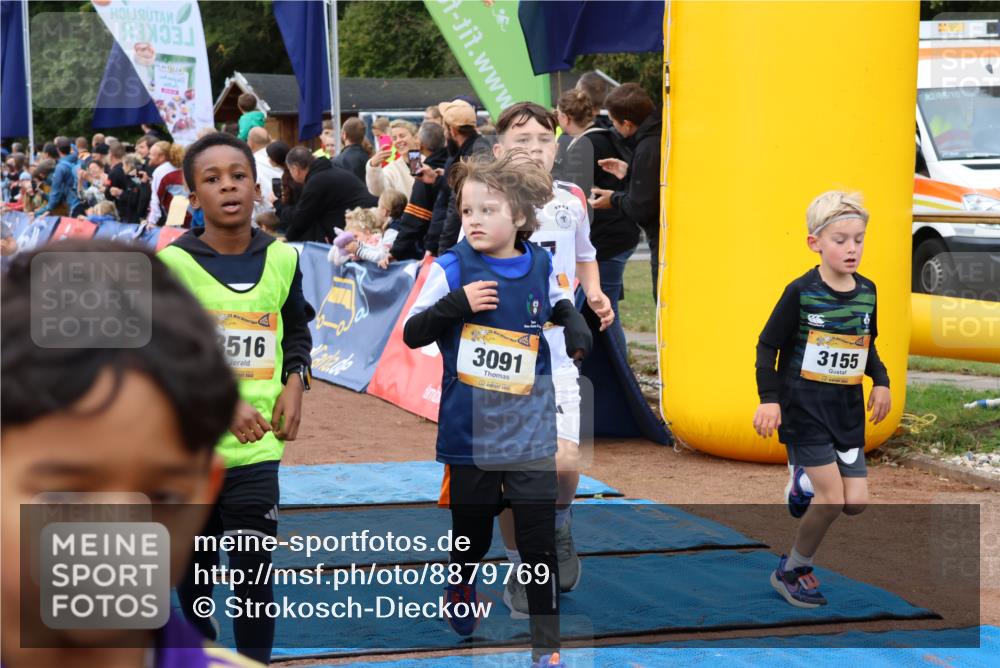 14.09.2025 - Airport Race Strokosch-Dieckow http://msf.ph/oto/8879769 14.09.2025 10:08:26 Ziel 3011, 3049, 3080, 3089, 3091, 3110, 3121, 3155, 3193, 3204, 3205, 3206, 3242, 3246, 3282, 3289, 3365, 3415, 3508, 3516, 3528, 3728 meine-sportfotos.de