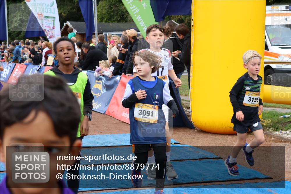 14.09.2025 - Airport Race Strokosch-Dieckow http://msf.ph/oto/8879774 14.09.2025 10:08:26 Ziel 3011, 3049, 3080, 3089, 3091, 3110, 3121, 3155, 3193, 3204, 3205, 3206, 3242, 3246, 3282, 3289, 3365, 3415, 3508, 3516, 3528, 3728 meine-sportfotos.de