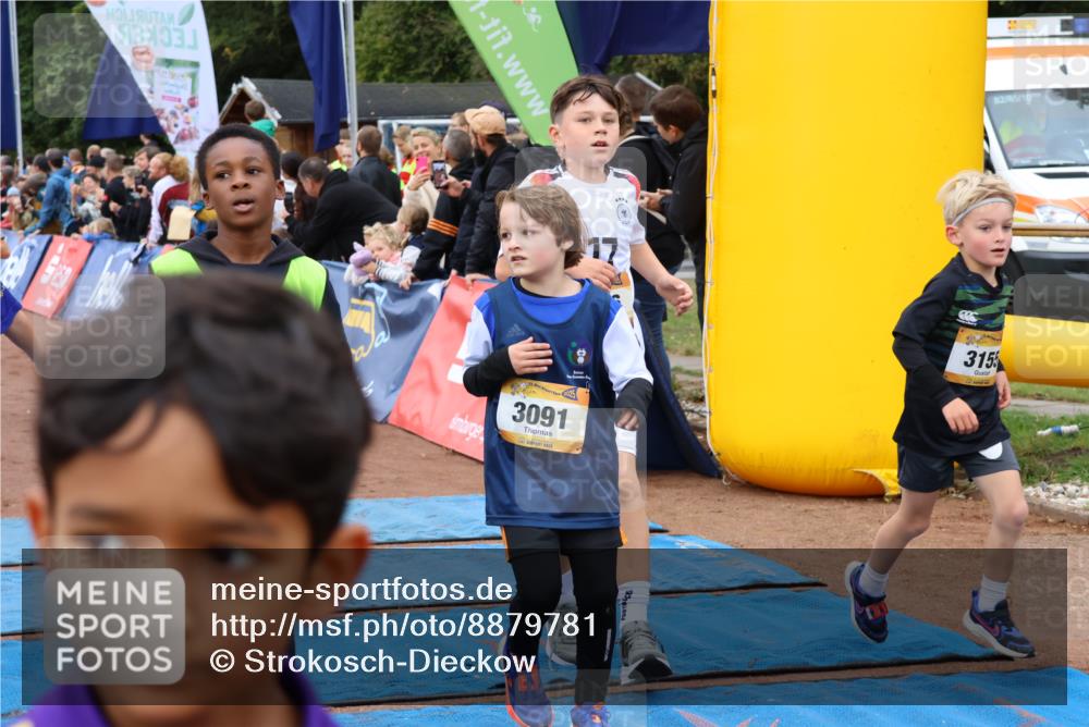 14.09.2025 - Airport Race Strokosch-Dieckow http://msf.ph/oto/8879781 14.09.2025 10:08:26 Ziel 3011, 3049, 3080, 3089, 3091, 3110, 3121, 3155, 3193, 3204, 3205, 3206, 3242, 3246, 3282, 3289, 3365, 3415, 3508, 3516, 3528, 3728 meine-sportfotos.de