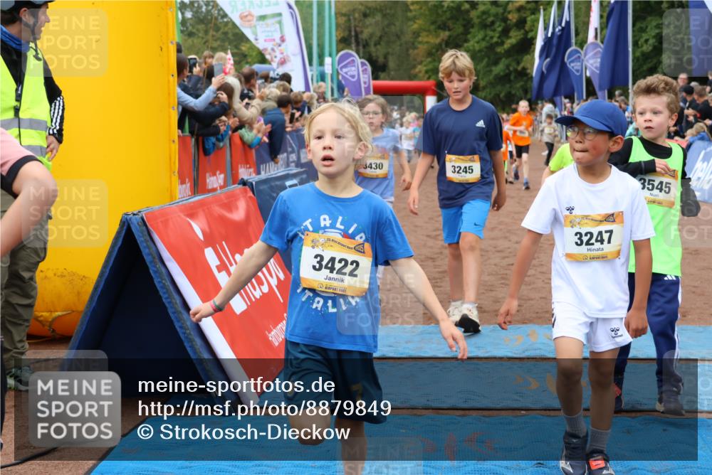 14.09.2025 - Airport Race Strokosch-Dieckow http://msf.ph/oto/8879849 14.09.2025 10:08:45 Ziel 3034, 3045, 3143, 3188, 3245, 3247, 3374, 3398, 3413, 3419, 3422, 3430, 3432, 3537, 3545, 3597, 3702, 3704, 3723 meine-sportfotos.de