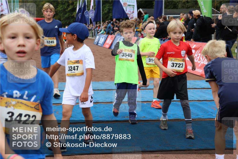 14.09.2025 - Airport Race Strokosch-Dieckow http://msf.ph/oto/8879883 14.09.2025 10:08:46 Ziel 3034, 3045, 3143, 3188, 3245, 3247, 3374, 3398, 3413, 3419, 3422, 3430, 3432, 3511, 3537, 3545, 3597, 3702, 3704, 3723 meine-sportfotos.de