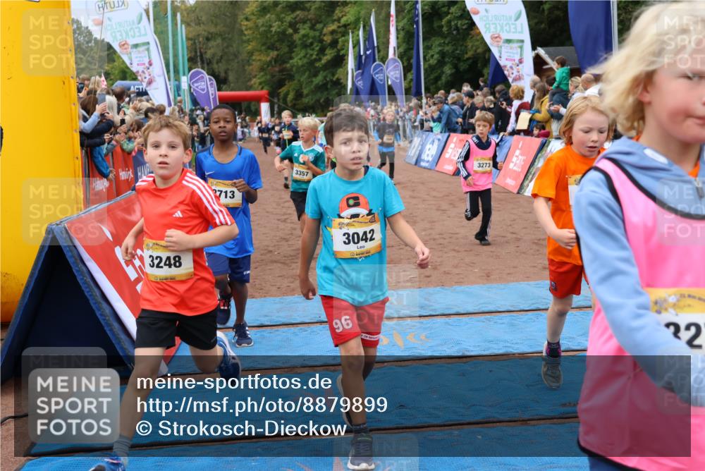 14.09.2025 - Airport Race Strokosch-Dieckow http://msf.ph/oto/8879899 14.09.2025 10:09:00 Ziel 3042, 3075, 3076, 3163, 3164, 3220, 3248, 3273, 3278, 3292, 3357, 3358, 3414, 3427, 3443, 3501, 3533, 3586, 3588, 3598, 3713 meine-sportfotos.de