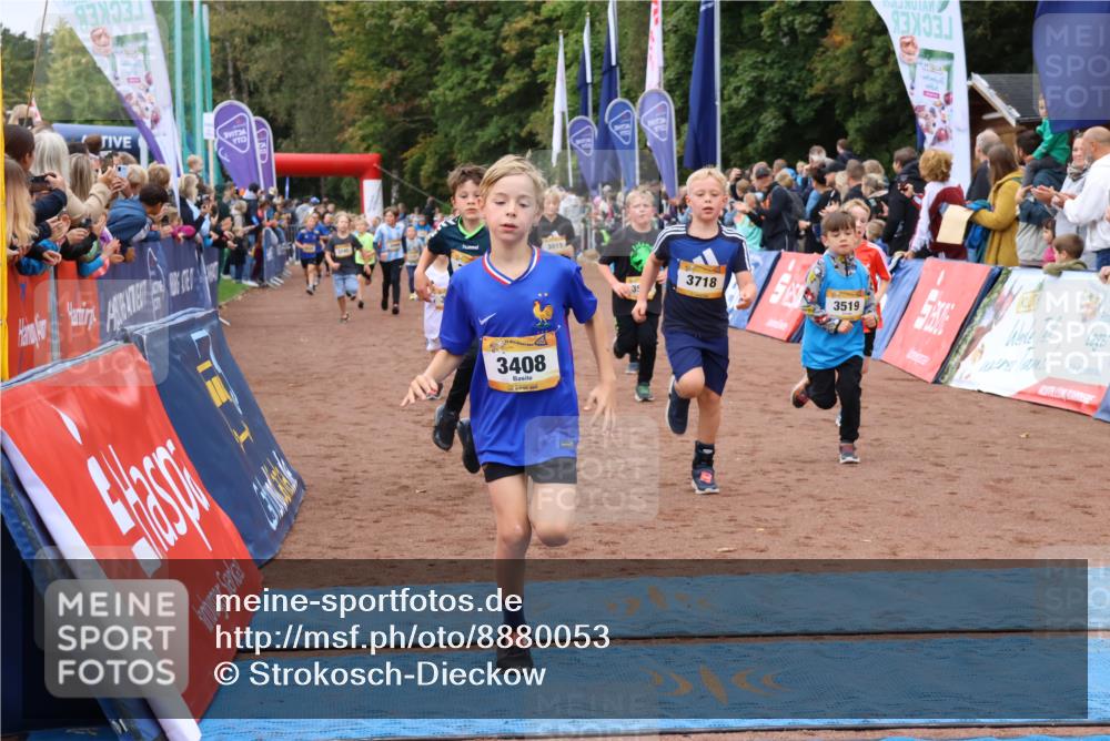 14.09.2025 - Airport Race Strokosch-Dieckow http://msf.ph/oto/8880053 14.09.2025 10:09:15 Ziel 3015, 3043, 3119, 3216, 3219, 3249, 3259, 3363, 3406, 3408, 3450, 3500, 3519, 3534, 3585, 3594, 3714, 3718, 3737, 3745 meine-sportfotos.de