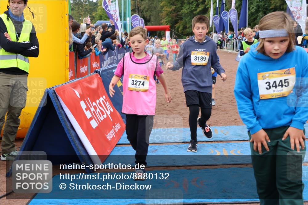 14.09.2025 - Airport Race Strokosch-Dieckow http://msf.ph/oto/8880132 14.09.2025 10:09:33 Ziel 3023, 3026, 3073, 3108, 3158, 3178, 3185, 3189, 3274, 3283, 3305, 3308, 3445, 3446, 3455, 3513, 3551, 3611, 3706 meine-sportfotos.de