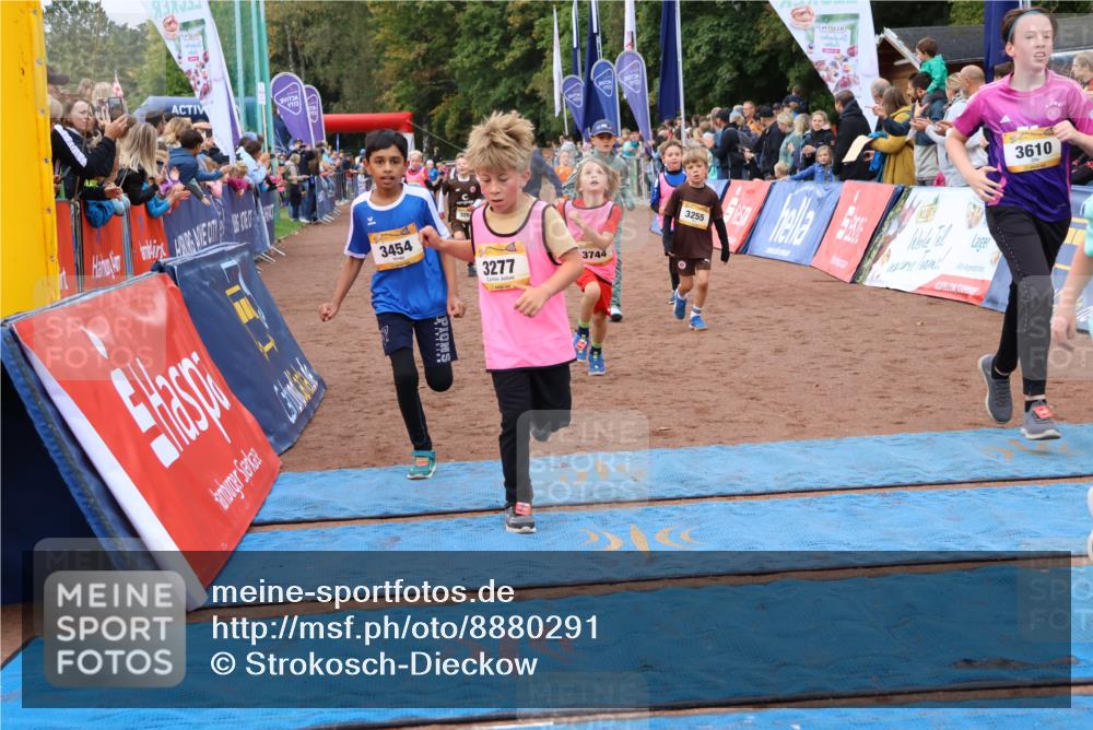 14.09.2025 - Airport Race Strokosch-Dieckow http://msf.ph/oto/8880291 14.09.2025 10:09:51 Ziel 3037, 3198, 3264, 3277, 3285, 3288, 3293, 3298, 3417, 3444, 3454, 3507, 3536, 3599, 3610, 3744 meine-sportfotos.de