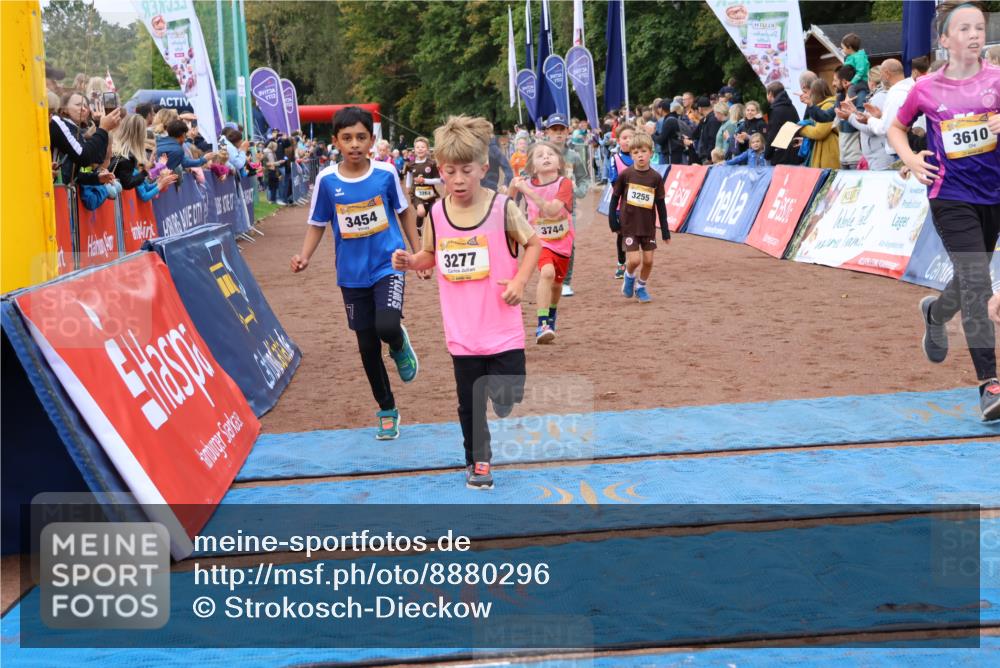 14.09.2025 - Airport Race Strokosch-Dieckow http://msf.ph/oto/8880296 14.09.2025 10:09:51 Ziel 3037, 3198, 3264, 3277, 3285, 3288, 3293, 3298, 3417, 3444, 3454, 3507, 3536, 3599, 3610, 3744 meine-sportfotos.de