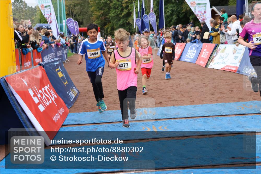 14.09.2025 - Airport Race Strokosch-Dieckow http://msf.ph/oto/8880302 14.09.2025 10:09:51 Ziel 3037, 3198, 3264, 3277, 3285, 3288, 3293, 3298, 3417, 3444, 3454, 3507, 3536, 3599, 3610, 3744 meine-sportfotos.de