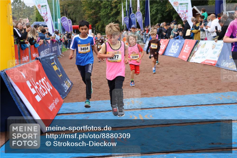 14.09.2025 - Airport Race Strokosch-Dieckow http://msf.ph/oto/8880309 14.09.2025 10:09:51 Ziel 3037, 3198, 3264, 3277, 3285, 3288, 3293, 3298, 3417, 3444, 3454, 3507, 3536, 3599, 3610, 3744 meine-sportfotos.de