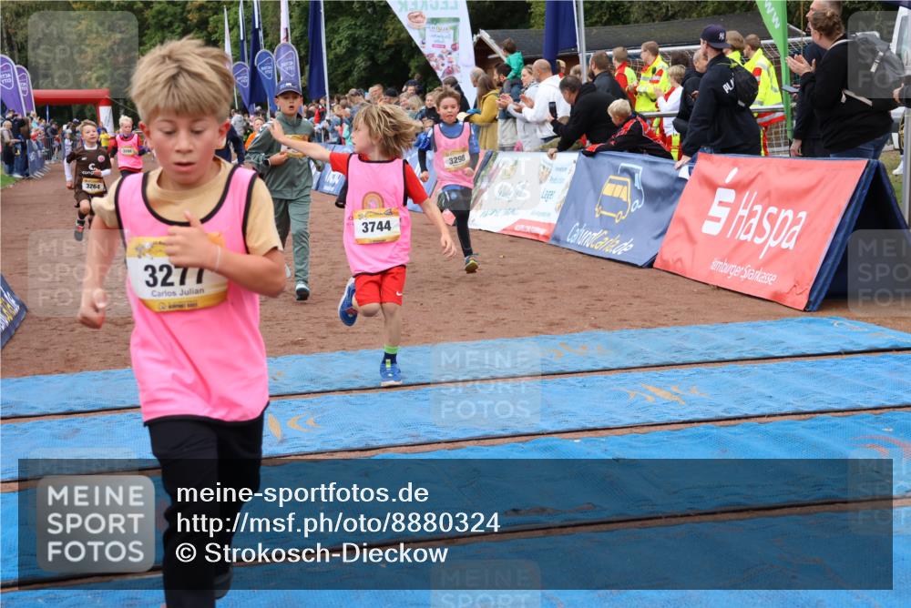 14.09.2025 - Airport Race Strokosch-Dieckow http://msf.ph/oto/8880324 14.09.2025 10:09:52 Ziel 3037, 3198, 3264, 3265, 3277, 3285, 3288, 3293, 3298, 3417, 3444, 3454, 3507, 3536, 3599, 3610, 3744 meine-sportfotos.de