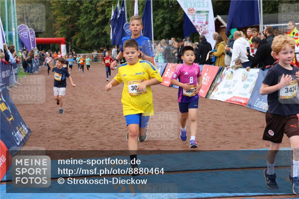 14.09.2025 - Airport Race Strokosch-Dieckow http://msf.ph/oto/8880464 14.09.2025 10:10:07 Ziel 3005, 3115, 3135, 3177, 3180, 3182, 3184, 3411, 3412, 3424, 3447, 3607 meine-sportfotos.de