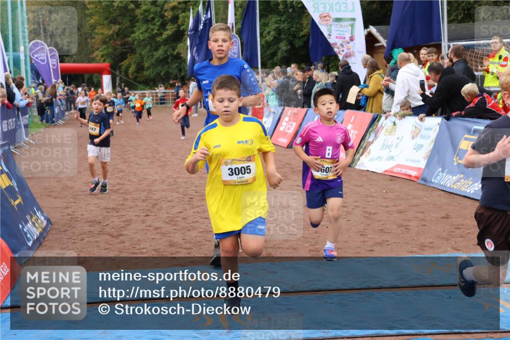 14.09.2025 - Airport Race Strokosch-Dieckow http://msf.ph/oto/8880479 14.09.2025 10:10:07 Ziel 3005, 3115, 3135, 3177, 3180, 3182, 3184, 3411, 3412, 3424, 3447, 3607 meine-sportfotos.de