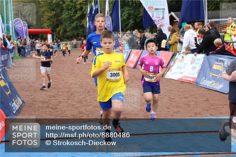 14.09.2025 - Airport Race Strokosch-Dieckow http://msf.ph/oto/8880486 14.09.2025 10:10:07 Ziel 3005, 3115, 3135, 3177, 3180, 3182, 3184, 3411, 3412, 3424, 3447, 3607 meine-sportfotos.de