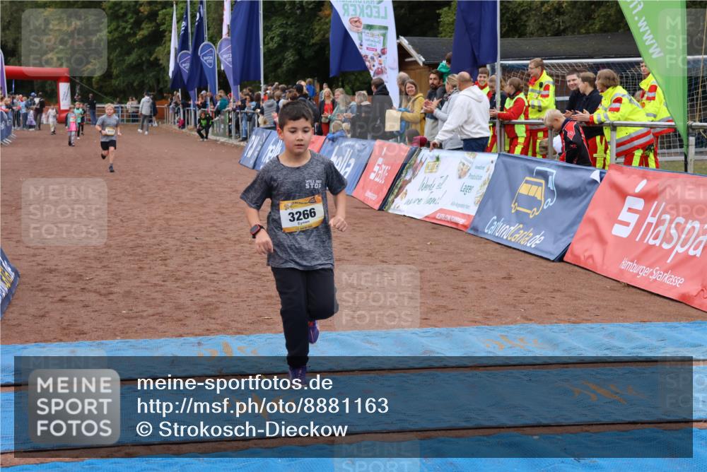 14.09.2025 - Airport Race Strokosch-Dieckow http://msf.ph/oto/8881163 14.09.2025 10:11:34 Ziel 3117, 3266, 3399, 3520 meine-sportfotos.de