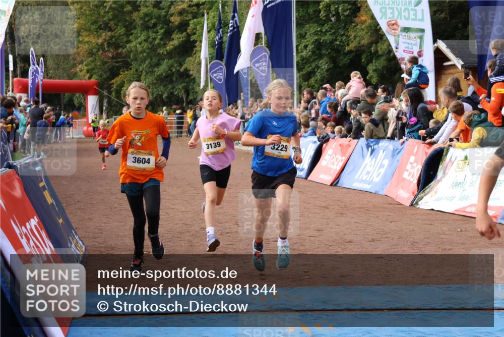 14.09.2025 - Airport Race Strokosch-Dieckow http://msf.ph/oto/8881344 14.09.2025 10:27:39 Ziel 3029, 3139, 3229, 3604, 3708, 3726 meine-sportfotos.de