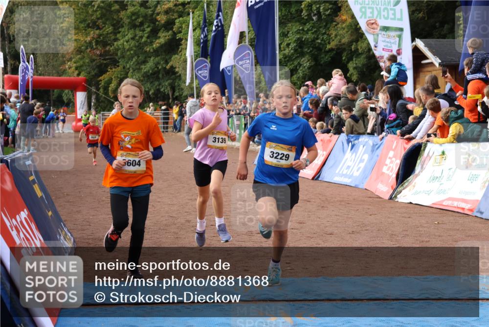 14.09.2025 - Airport Race Strokosch-Dieckow http://msf.ph/oto/8881368 14.09.2025 10:27:39 Ziel 3029, 3139, 3229, 3604, 3708, 3726 meine-sportfotos.de