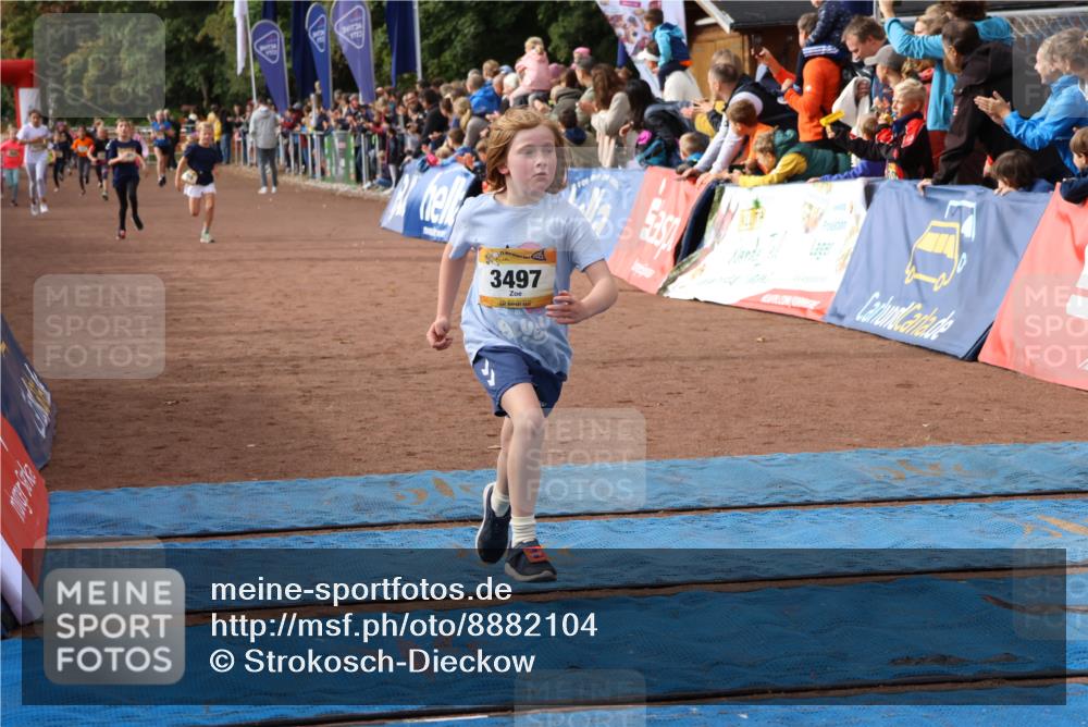 14.09.2025 - Airport Race Strokosch-Dieckow http://msf.ph/oto/8882104 14.09.2025 10:28:14 Ziel 3035, 3133, 3381, 3384, 3497 meine-sportfotos.de