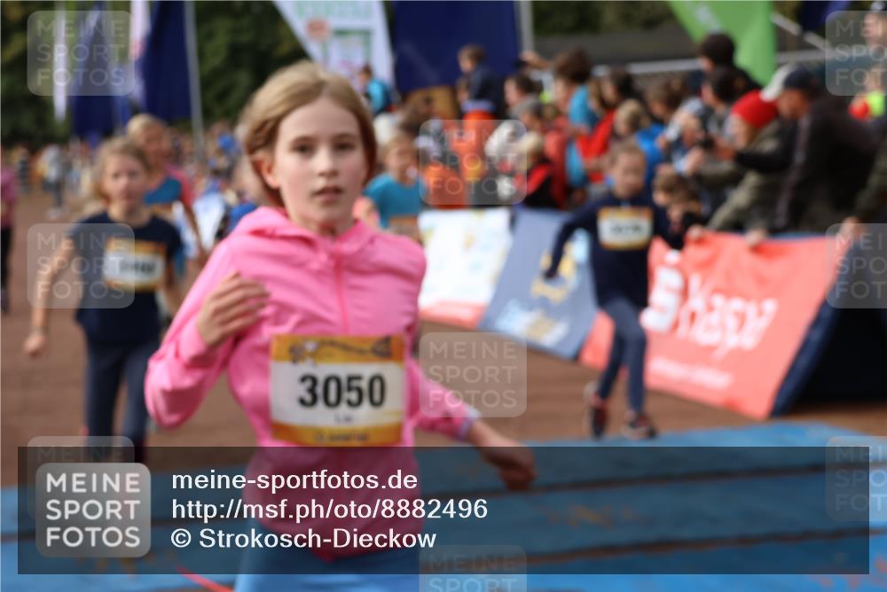 14.09.2025 - Airport Race Strokosch-Dieckow http://msf.ph/oto/8882496 14.09.2025 10:28:31 Ziel 3071, 3093, 3098, 3142, 3169, 3212, 3227, 3394, 3461, 3466, 3468, 3473, 3572, 3579, 3608, 5094 meine-sportfotos.de