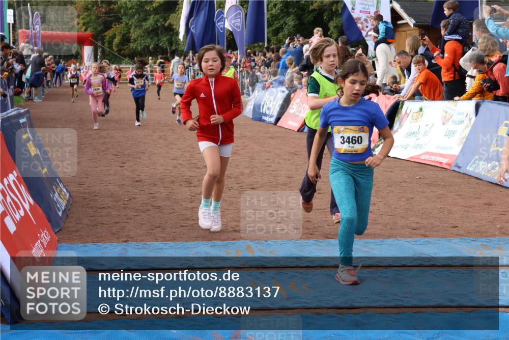 14.09.2025 - Airport Race Strokosch-Dieckow http://msf.ph/oto/8883137 14.09.2025 10:28:45 Ziel 3081, 3228, 3393, 3456, 3457, 3458, 3460, 3471, 3488, 3489, 3559, 3563, 3578 meine-sportfotos.de