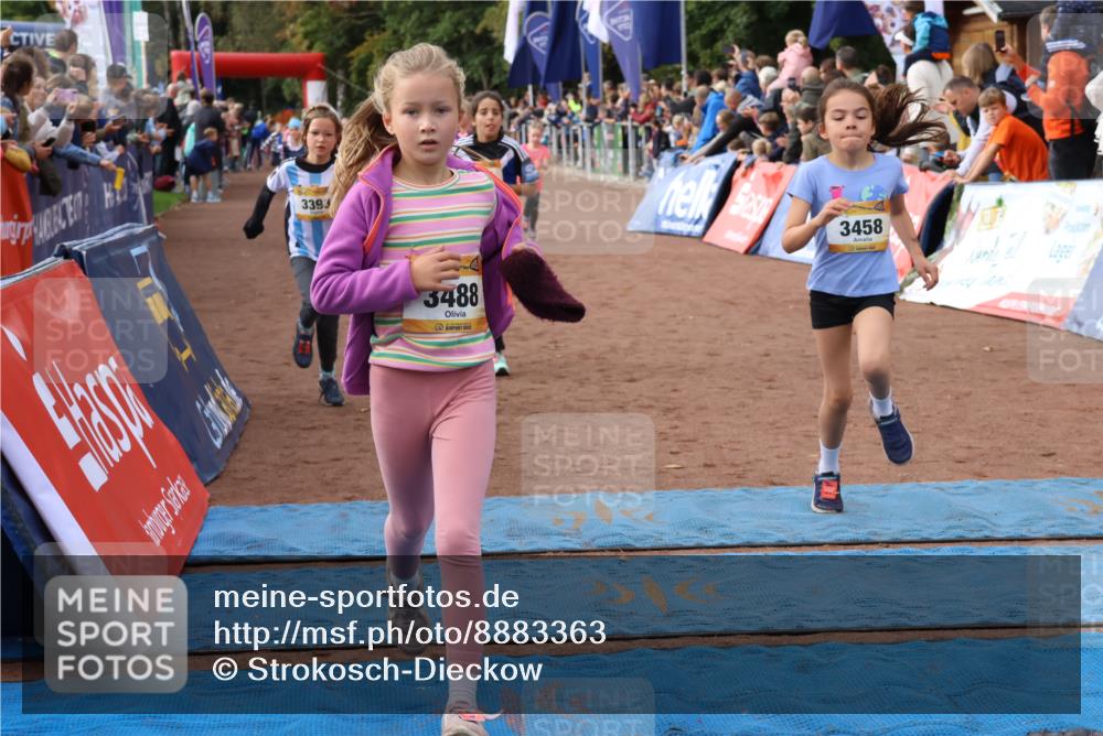 14.09.2025 - Airport Race Strokosch-Dieckow http://msf.ph/oto/8883363 14.09.2025 10:28:50 Ziel 3025, 3051, 3326, 3393, 3458, 3460, 3471, 3488, 3563, 3578, 3606 meine-sportfotos.de