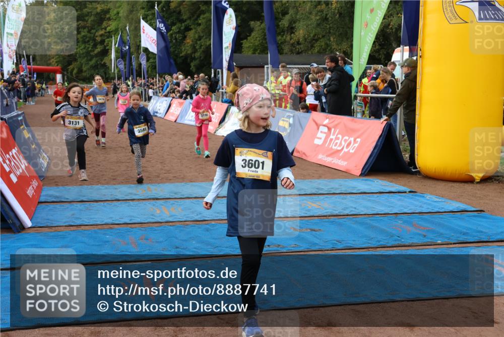 14.09.2025 - Airport Race Strokosch-Dieckow http://msf.ph/oto/8887741 14.09.2025 10:30:47 Ziel 3131, 3179, 3190, 3338, 3469, 3476, 3487, 3495, 3591, 3601, 3748 meine-sportfotos.de