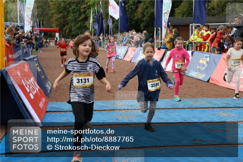 14.09.2025 - Airport Race Strokosch-Dieckow http://msf.ph/oto/8887765 14.09.2025 10:30:48 Ziel 3131, 3179, 3190, 3338, 3476, 3495, 3591, 3601, 3748 meine-sportfotos.de