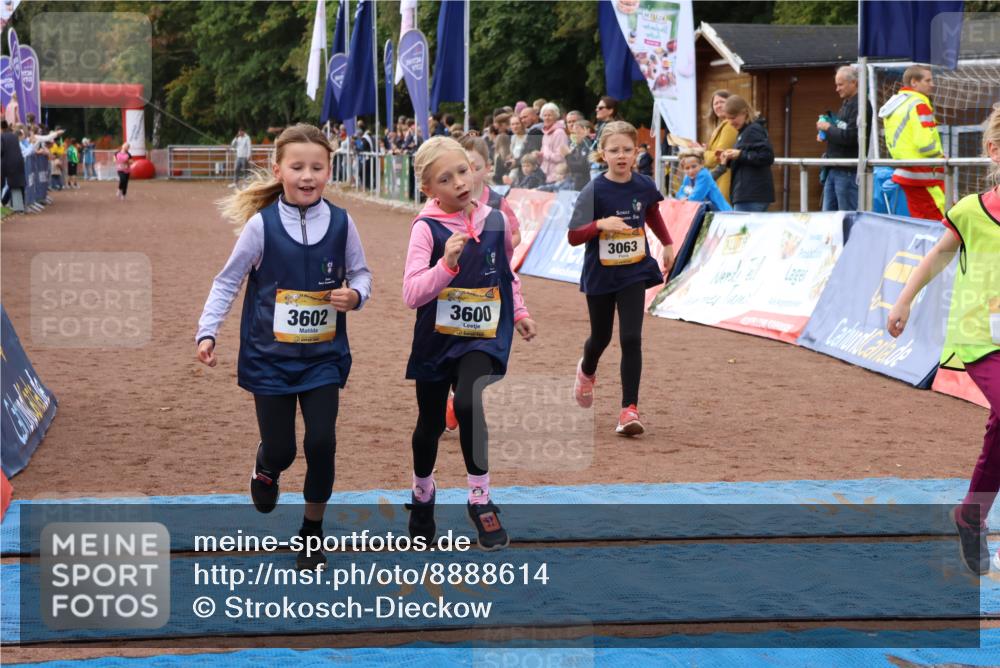 14.09.2025 - Airport Race Strokosch-Dieckow http://msf.ph/oto/8888614 14.09.2025 10:32:28 Ziel 3063, 3085, 3401, 3600, 3602 meine-sportfotos.de