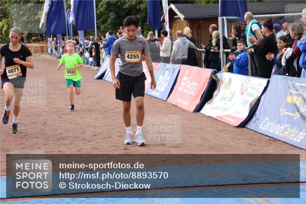 14.09.2025 - Airport Race Strokosch-Dieckow http://msf.ph/oto/8893570 14.09.2025 12:06:24 Ziel 272, 4065, 4071, 4171, 4255, 4273, 5278, 5333 meine-sportfotos.de