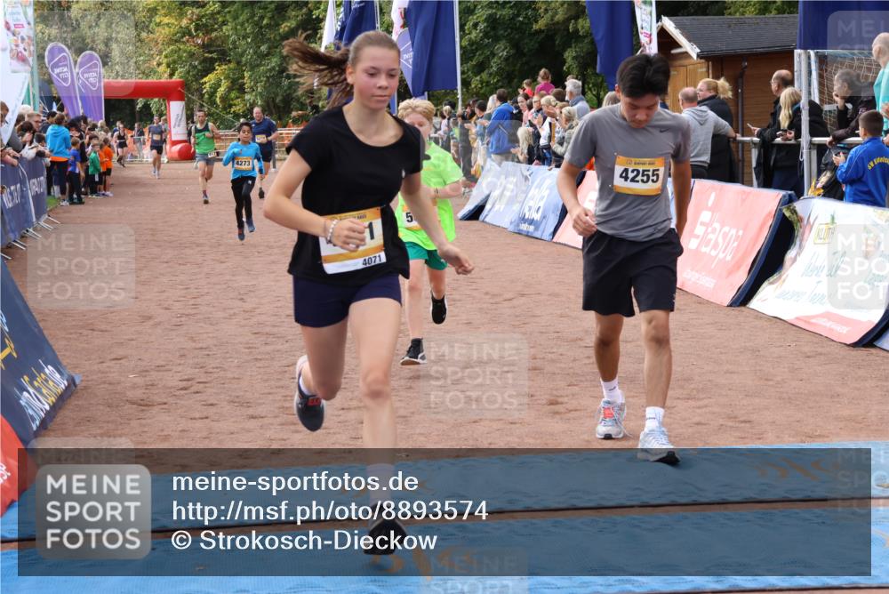 14.09.2025 - Airport Race Strokosch-Dieckow http://msf.ph/oto/8893574 14.09.2025 12:06:25 Ziel 272, 4065, 4071, 4171, 4255, 4273, 5092, 5278, 5333 meine-sportfotos.de