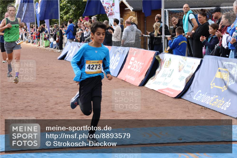 14.09.2025 - Airport Race Strokosch-Dieckow http://msf.ph/oto/8893579 14.09.2025 12:06:30 Ziel 1123, 4071, 4171, 4255, 4273, 5092, 5278, 5333 meine-sportfotos.de