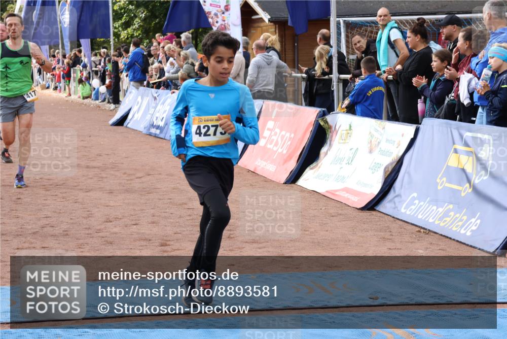 14.09.2025 - Airport Race Strokosch-Dieckow http://msf.ph/oto/8893581 14.09.2025 12:06:30 Ziel 1123, 4071, 4171, 4255, 4273, 5092, 5278, 5333 meine-sportfotos.de