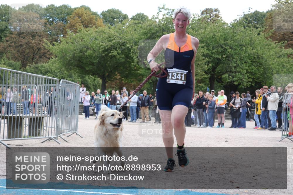 14.09.2025 - Stadtparktriathlon Strokosch-Dieckow http://msf.ph/oto/8898953 14.09.2025 14:07:38 Ziel 1341, 1452, 1479 meine-sportfotos.de