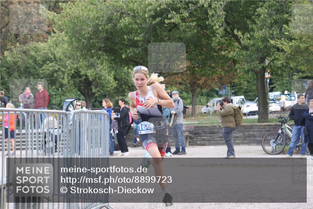14.09.2025 - Stadtparktriathlon Strokosch-Dieckow http://msf.ph/oto/8899723 14.09.2025 14:16:07 Ziel 1622, 1640, 1645 meine-sportfotos.de