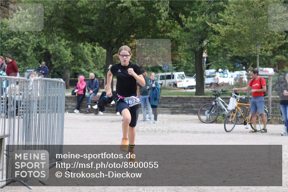 14.09.2025 - Stadtparktriathlon Strokosch-Dieckow http://msf.ph/oto/8900055 14.09.2025 14:22:17 Ziel 1552, 1624 meine-sportfotos.de