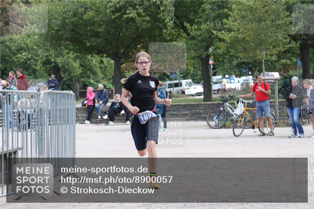 14.09.2025 - Stadtparktriathlon Strokosch-Dieckow http://msf.ph/oto/8900057 14.09.2025 14:22:18 Ziel 1463, 1552, 1624 meine-sportfotos.de