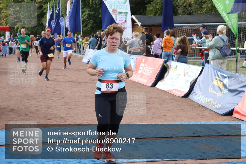 14.09.2025 - Airport Race Strokosch-Dieckow http://msf.ph/oto/8900247 14.09.2025 12:29:12 Ziel 145, 236, 457, 549, 710, 941, 1415, 1432, 1514, 1540, 1601, 1664, 2122 meine-sportfotos.de