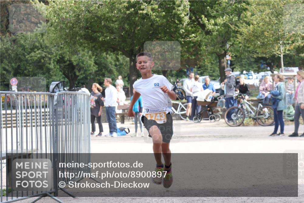 14.09.2025 - Stadtparktriathlon Strokosch-Dieckow http://msf.ph/oto/8900897 14.09.2025 14:42:03 Ziel 1722, 1743 meine-sportfotos.de