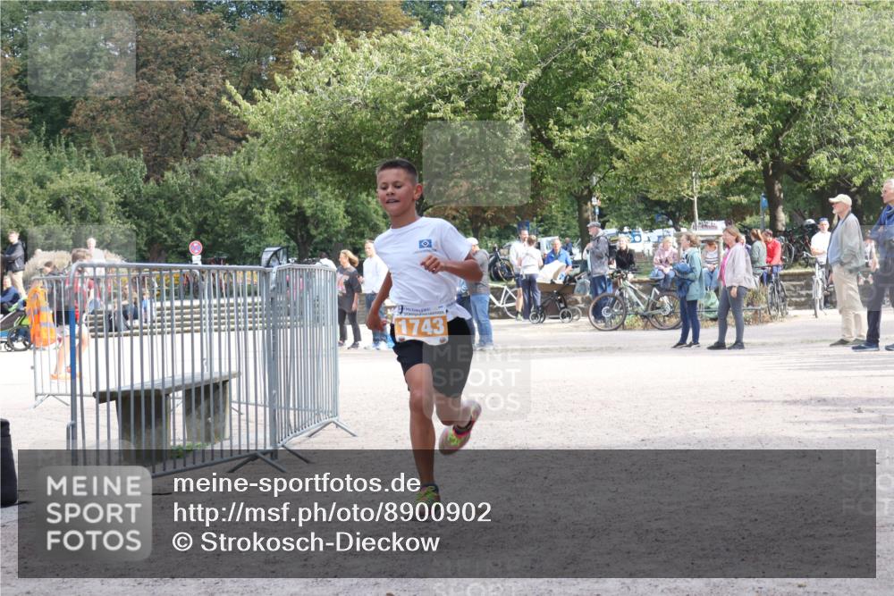 14.09.2025 - Stadtparktriathlon Strokosch-Dieckow http://msf.ph/oto/8900902 14.09.2025 14:42:04 Ziel 1743 meine-sportfotos.de