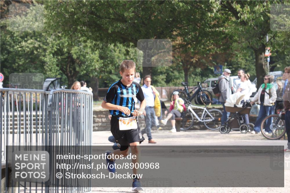 14.09.2025 - Stadtparktriathlon Strokosch-Dieckow http://msf.ph/oto/8900968 14.09.2025 14:43:01 Ziel 1750, 1773 meine-sportfotos.de