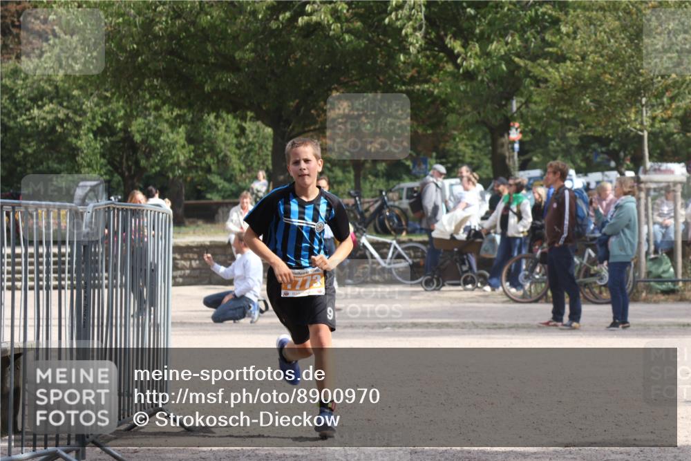 14.09.2025 - Stadtparktriathlon Strokosch-Dieckow http://msf.ph/oto/8900970 14.09.2025 14:43:02 Ziel 1773 meine-sportfotos.de