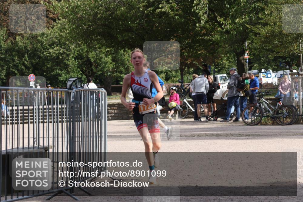 14.09.2025 - Stadtparktriathlon Strokosch-Dieckow http://msf.ph/oto/8901099 14.09.2025 14:45:21 Ziel 1726 meine-sportfotos.de