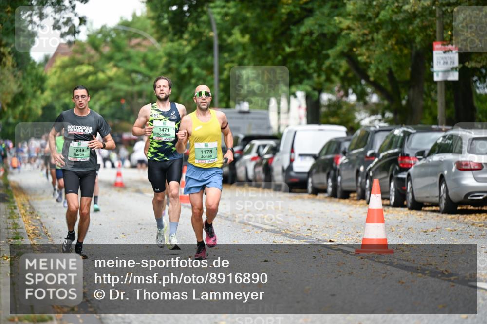 21.09.2025 - PSD Bank Halbmarathon Dr. Thomas Lammeyer http://msf.ph/oto/8916890 21.09.2025 10:31:38 Laufen 1471, 1849, 1178, 282, 28 meine-sportfotos.de