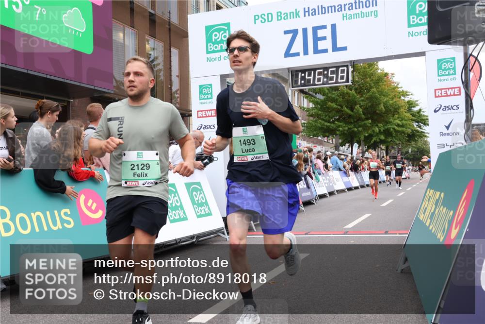 21.09.2025 - PSD Bank Halbmarathon Strokosch-Dieckow http://msf.ph/oto/8918018 21.09.2025 11:46:21 Ziel 1062, 1751, 2129, 2141, 2235 meine-sportfotos.de