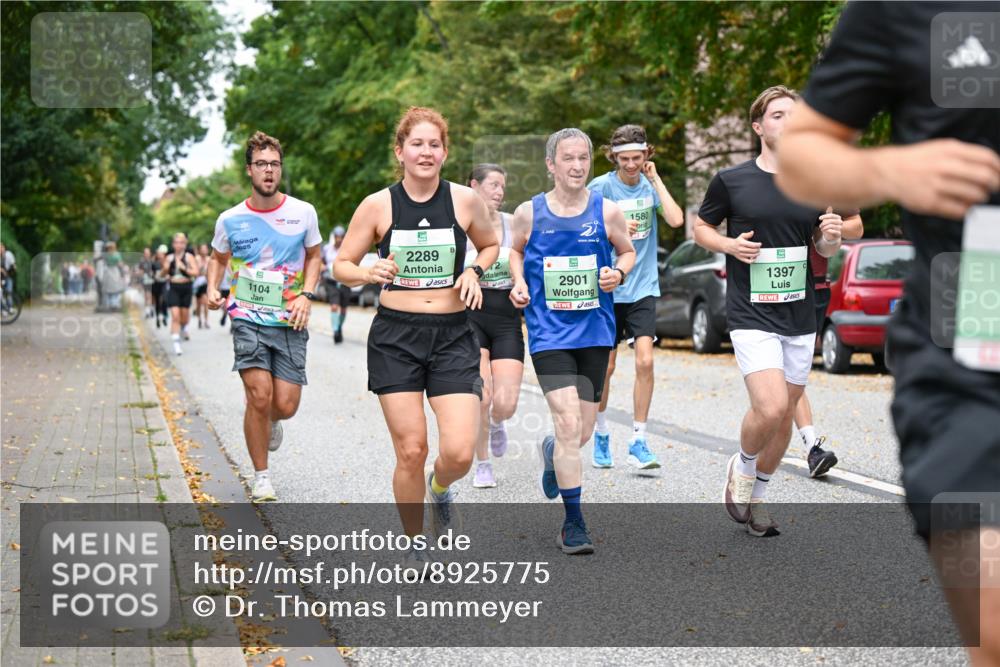 21.09.2025 - PSD Bank Halbmarathon Dr. Thomas Lammeyer http://msf.ph/oto/8925775 21.09.2025 10:44:56 Laufen 025, 1104, 2289, 2901, 1580, 1397 meine-sportfotos.de