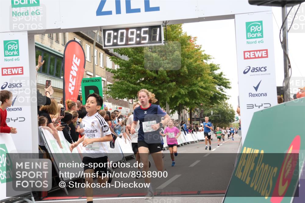 21.09.2025 - PSD Bank Halbmarathon Strokosch-Dieckow http://msf.ph/oto/8938900 21.09.2025 10:27:23 Ziel 239, 242, 298, 329, 330, 398 meine-sportfotos.de
