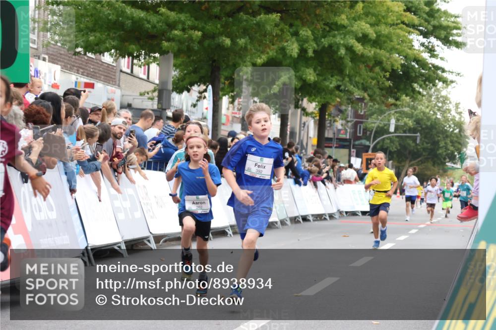 21.09.2025 - PSD Bank Halbmarathon Strokosch-Dieckow http://msf.ph/oto/8938934 21.09.2025 10:27:45 Ziel 107, 149, 249, 262, 341, 342, 391, 392, 399 meine-sportfotos.de