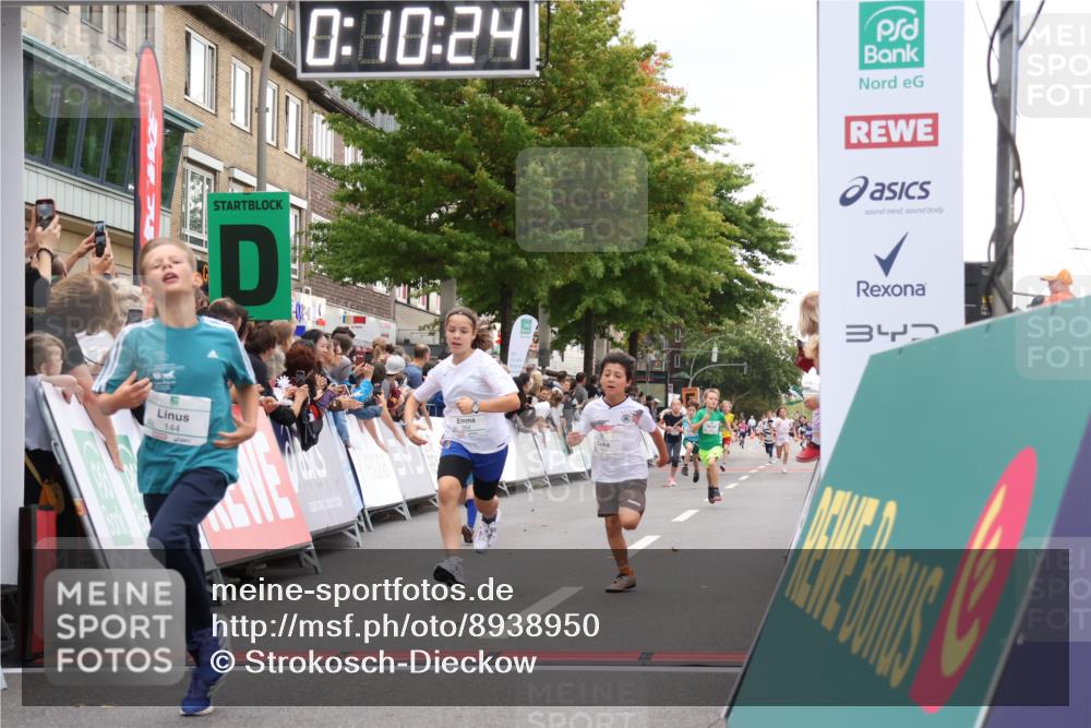21.09.2025 - PSD Bank Halbmarathon Strokosch-Dieckow http://msf.ph/oto/8938950 21.09.2025 10:27:56 Ziel 144, 203, 354, 362, 367, 436, 451 meine-sportfotos.de