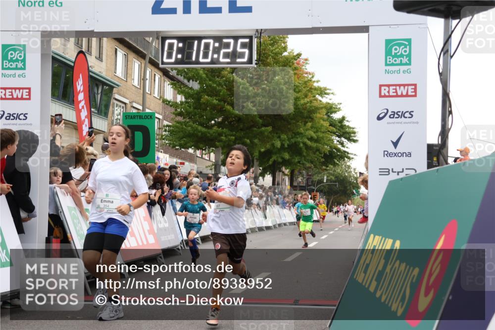 21.09.2025 - PSD Bank Halbmarathon Strokosch-Dieckow http://msf.ph/oto/8938952 21.09.2025 10:27:57 Ziel 144, 203, 354, 362, 367, 401, 436, 451 meine-sportfotos.de